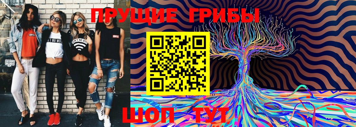 Галлюциногенные грибы Cubensis  Вход с VPN  закладки  Прокопьевск 