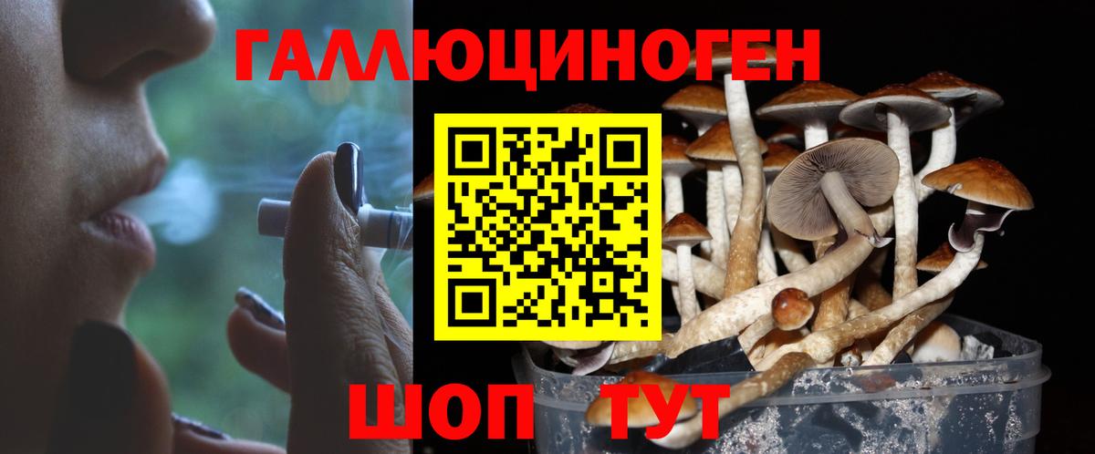 Галлюциногенные грибы Psilocybe Прокопьевск